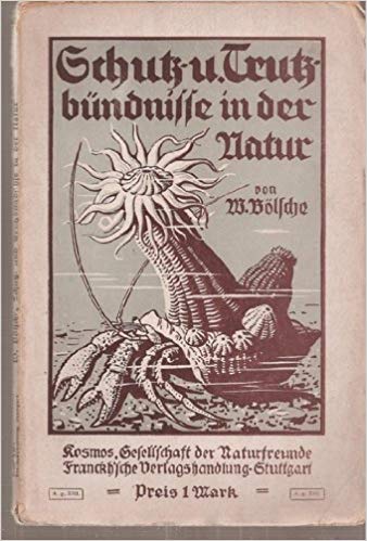 Schutz- und Trutzbündnisse in der Natur